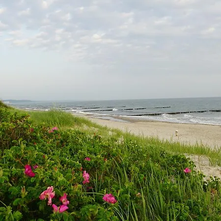 Reethaus Casa Baltica *