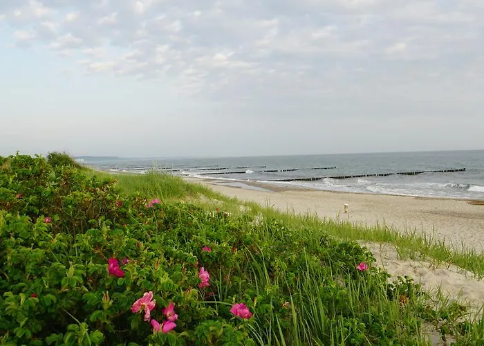 Reethaus Casa Baltica *